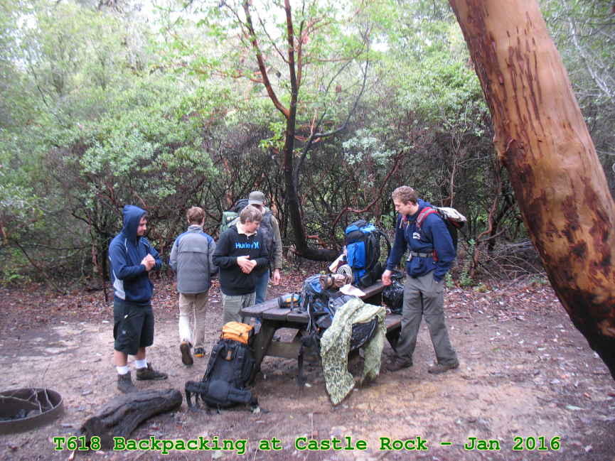 Picture 0011