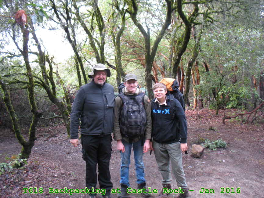 Picture 0012