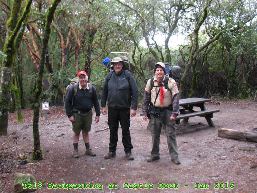 Picture 0013