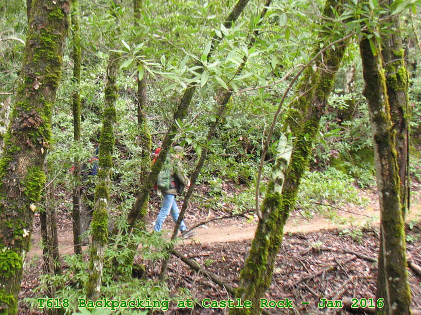 Picture 0014