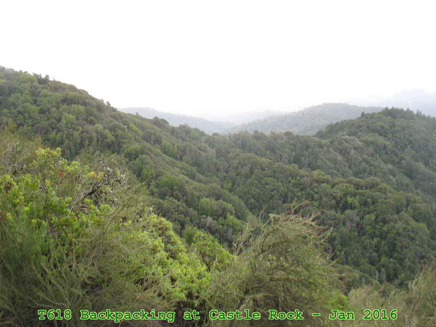 Picture 0016