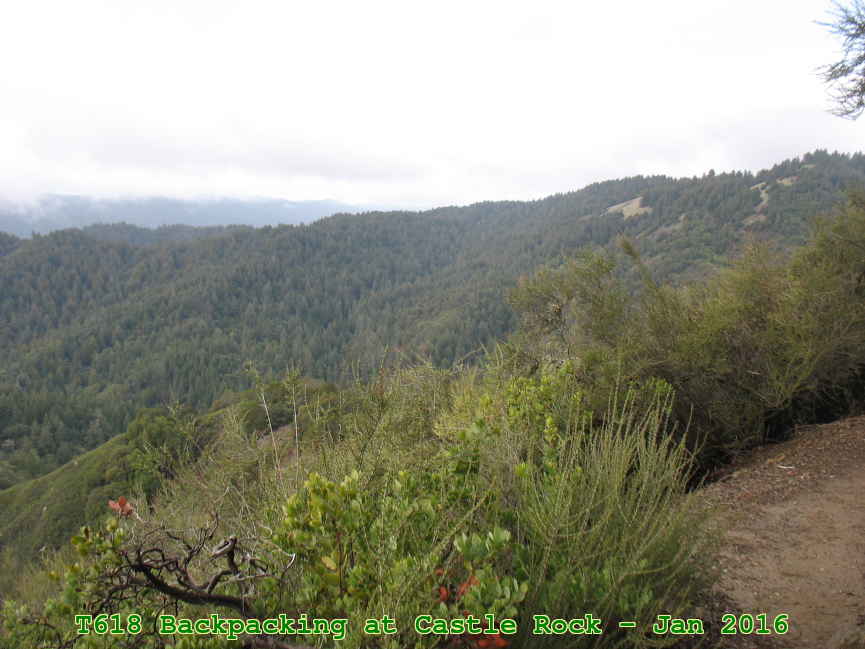 Picture 0017