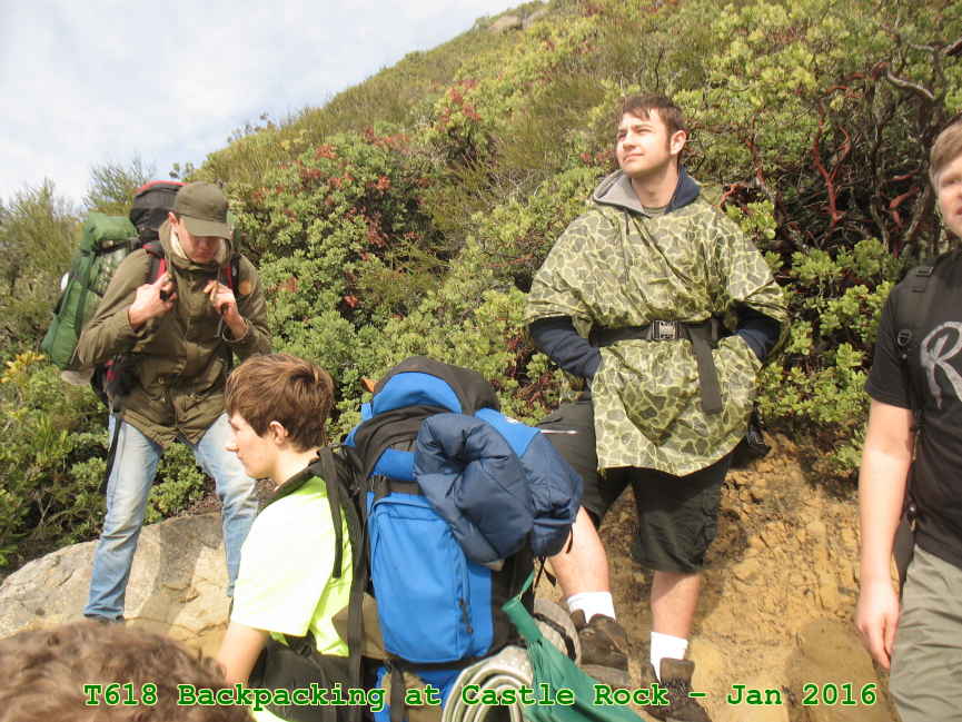 Picture 0018