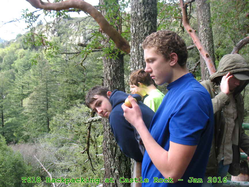 Picture 0024