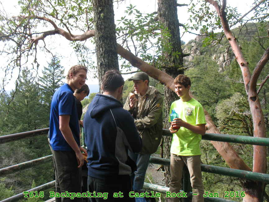 Picture 0025