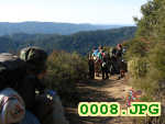 Picture 0008
