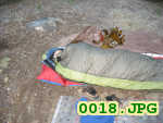 Picture 0018