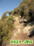 Picture 0025