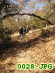 Picture 0028