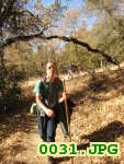 Picture 0031