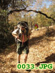 Picture 0033