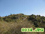 Picture 0034