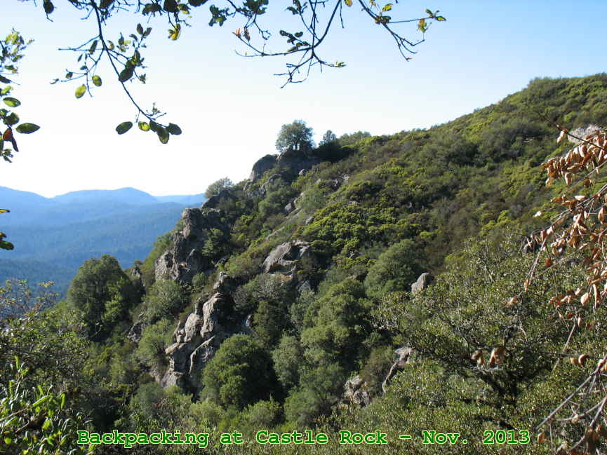 Picture 0003
