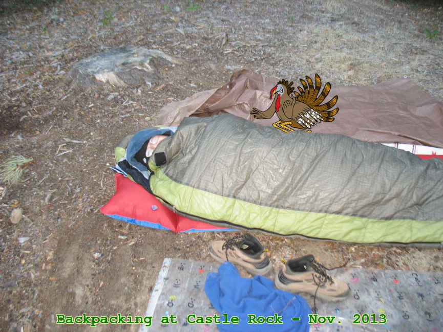 Picture 0018