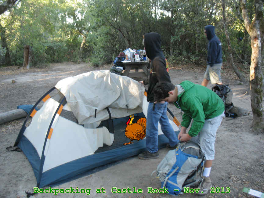 Picture 0021