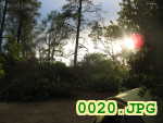 Picture 0020