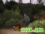 Picture 0024