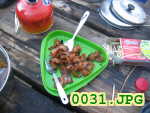 Picture 0031