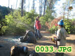 Picture 0033