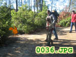 Picture 0036