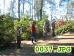 Picture 0037