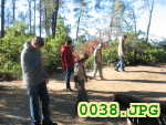Picture 0038