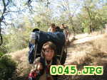 Picture 0045