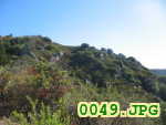 Picture 0049