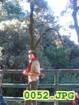 Picture 0052