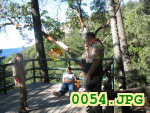 Picture 0054
