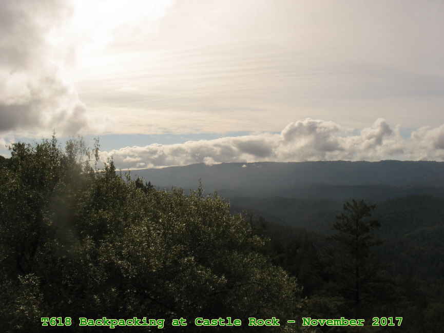 Picture 0006