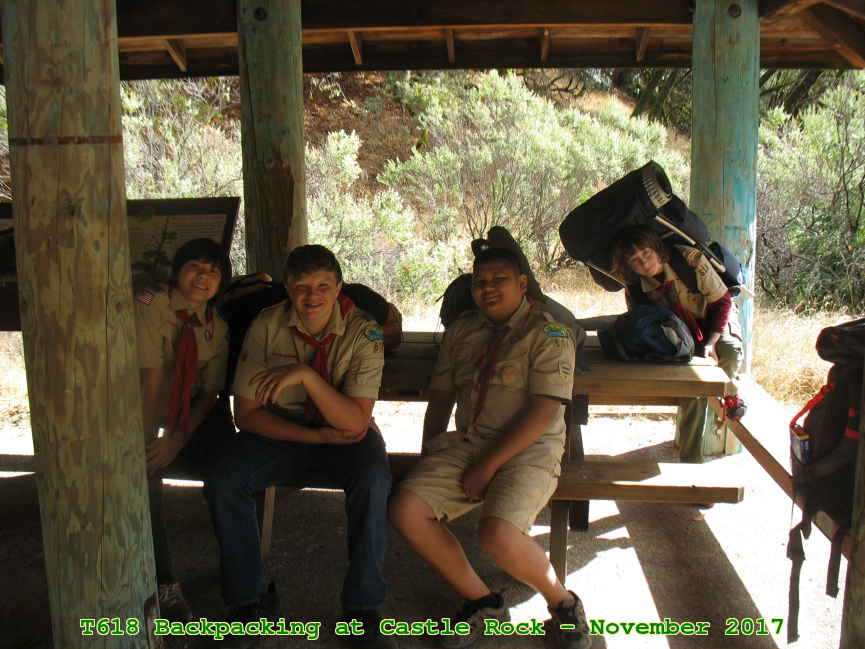Picture 0008