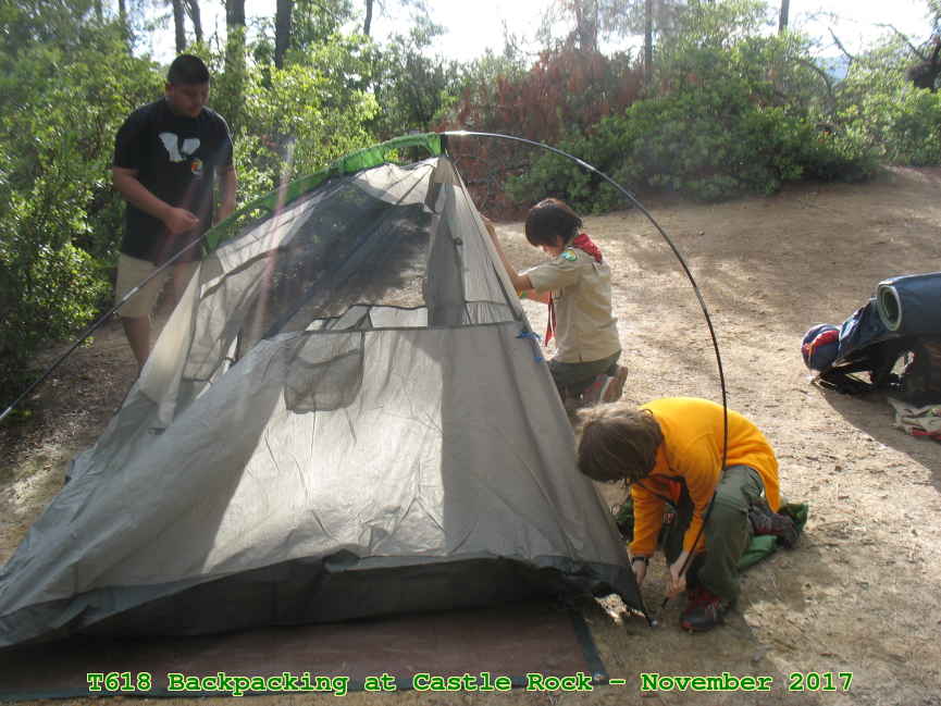 Picture 0013