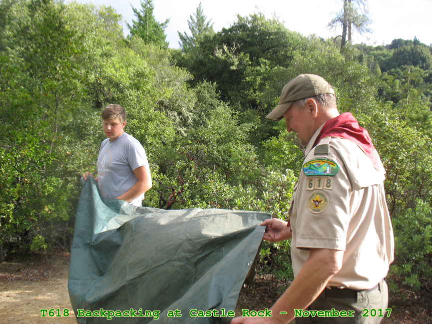 Picture 0016