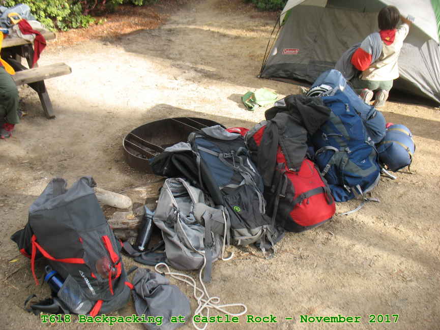 Picture 0017