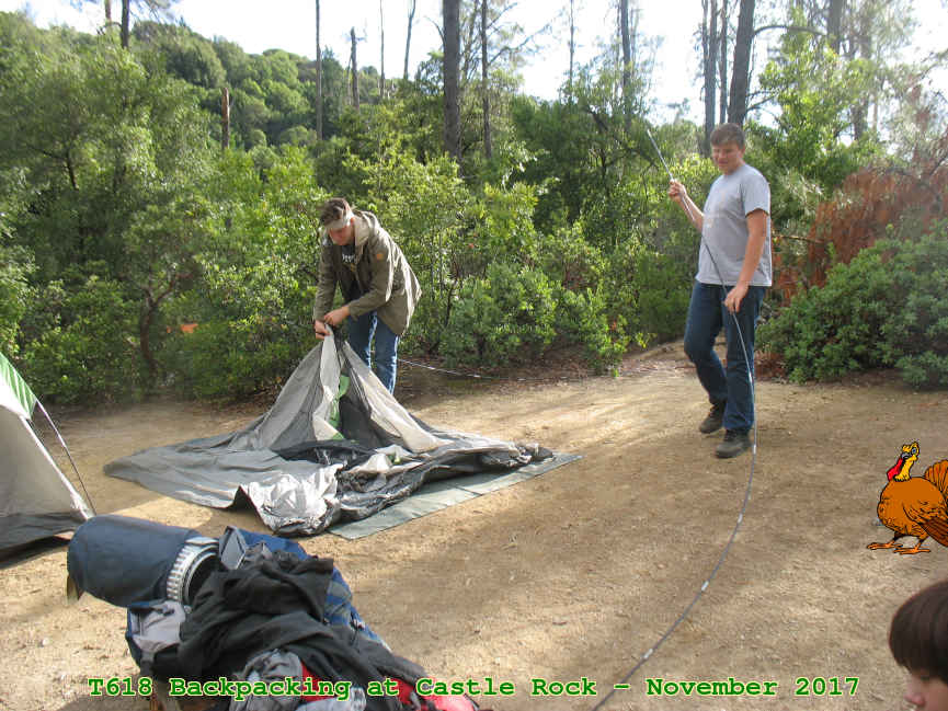 Picture 0018