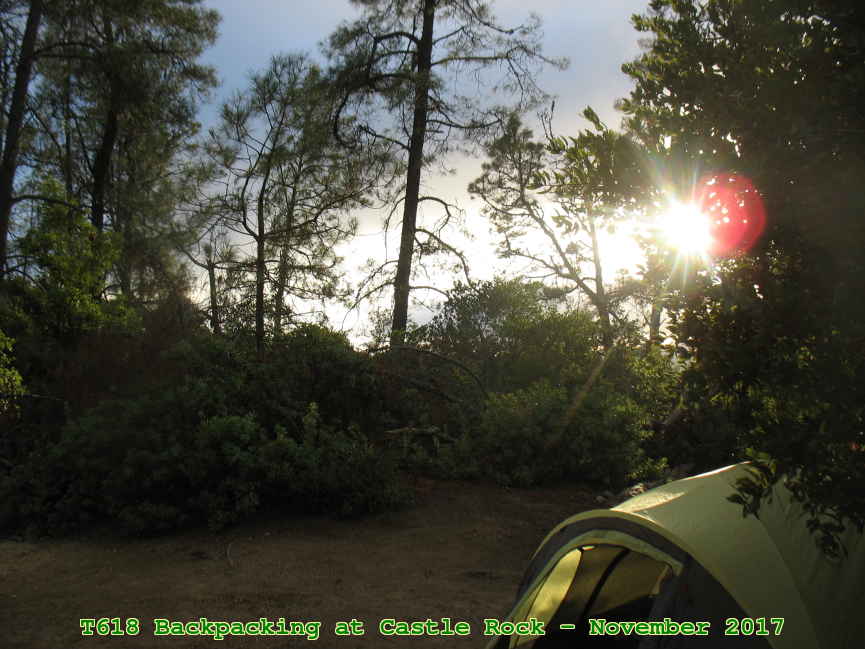 Picture 0020