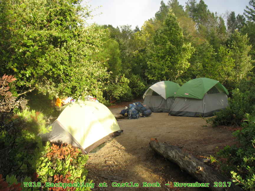 Picture 0021
