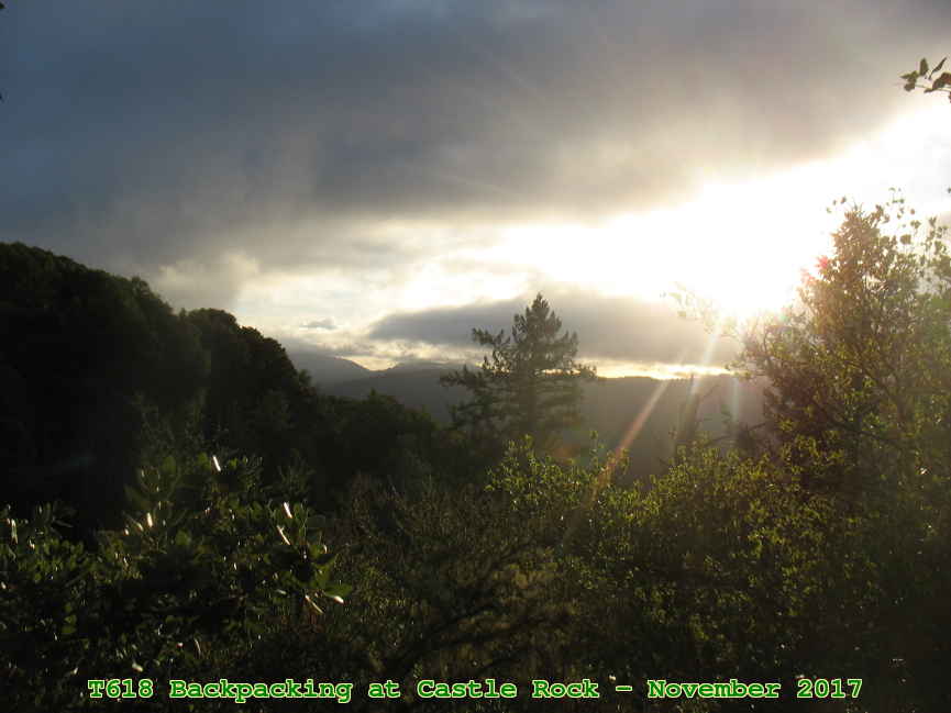 Picture 0022