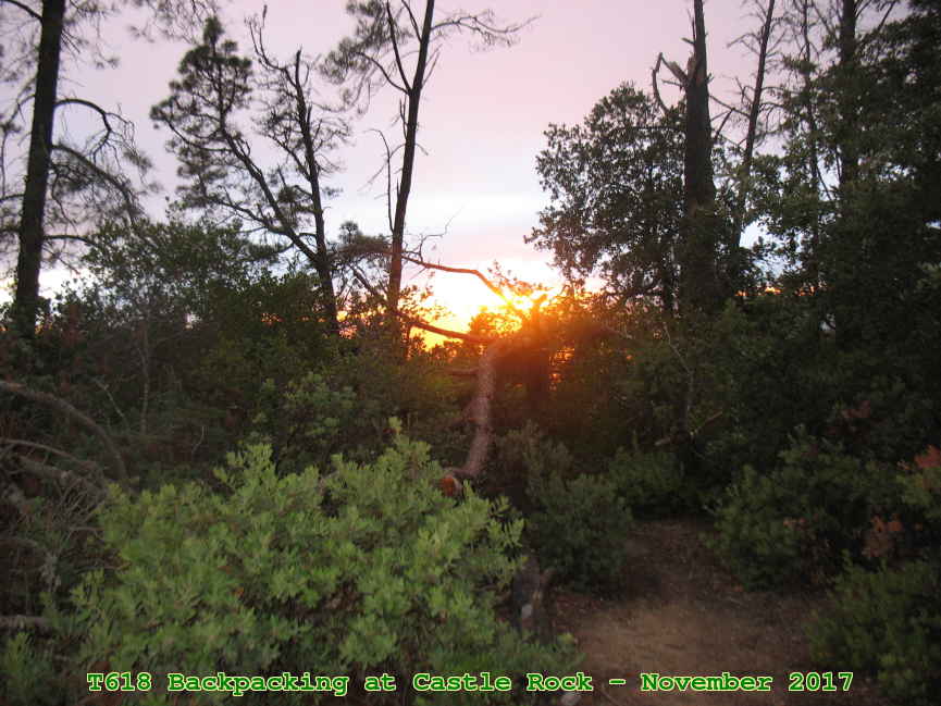 Picture 0023