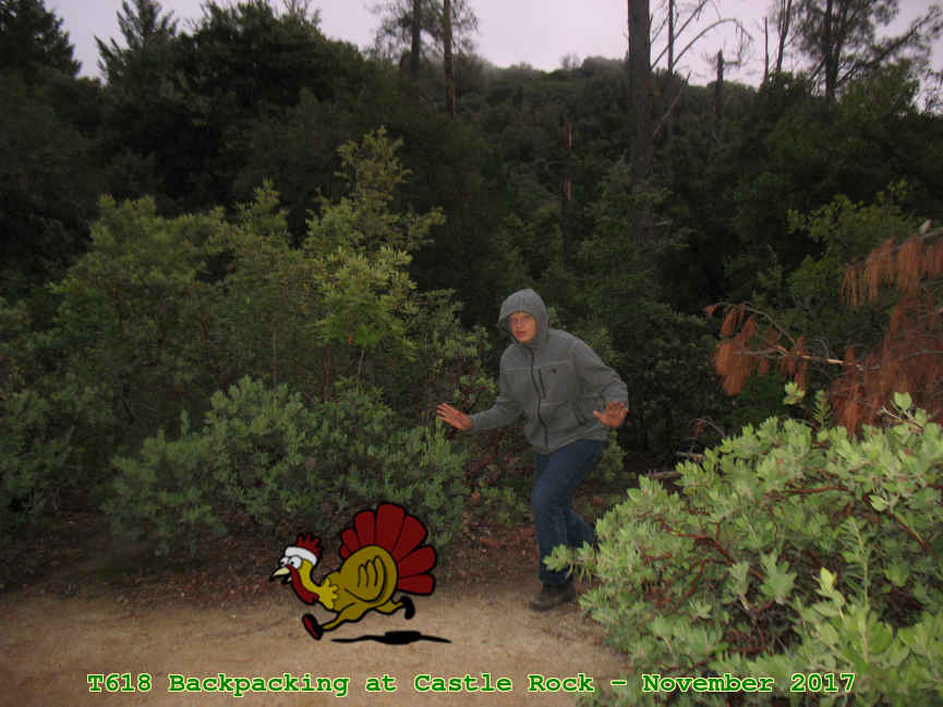 Picture 0024
