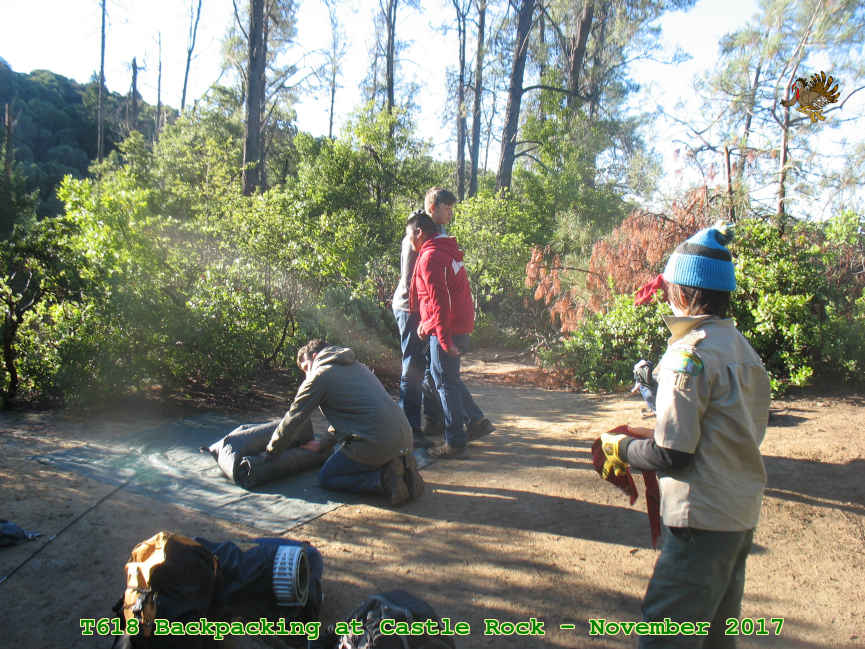 Picture 0033