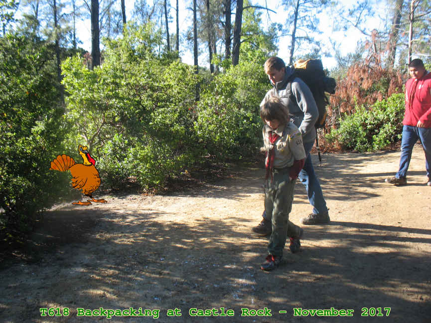 Picture 0036