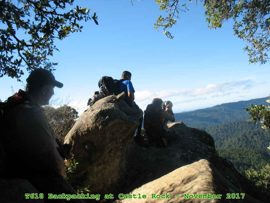 Picture 0042