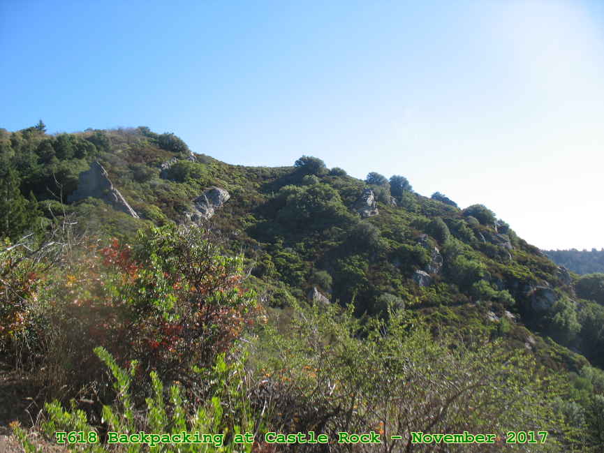 Picture 0049