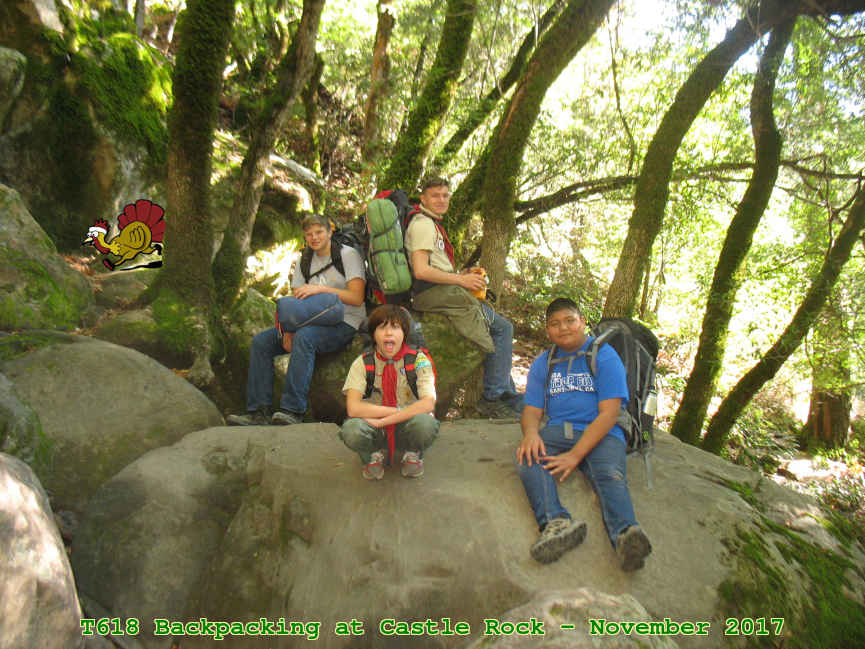 Picture 0051
