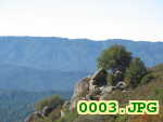 Picture 0003