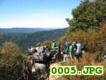 Picture 0005