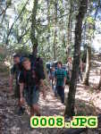 Picture 0008
