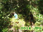 Picture 0014